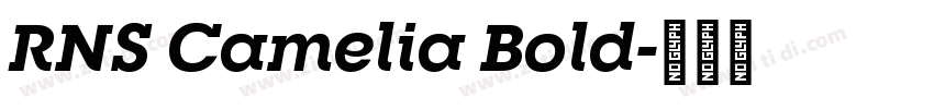 RNS Camelia Bold字体转换